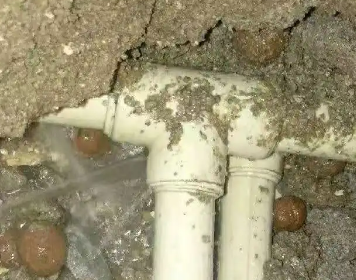 尚义测漏水多少钱