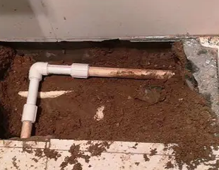 尚义测漏水哪家好